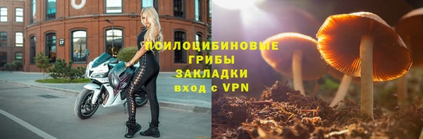 ешки Армянск