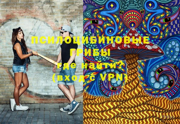 тгк Аркадак