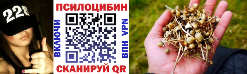 Псилоцибиновые грибы MAGIC MUSHROOMS Таштагол