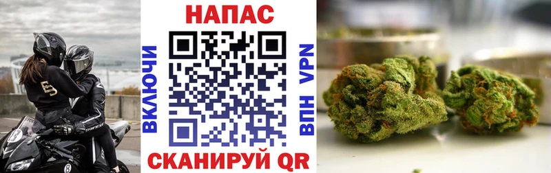 сколько стоит  Таштагол  маркетплейс клад  Бошки марихуана конопля 
